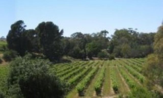 Stonewell Cottages And Vineyards Тананда Екстериор снимка