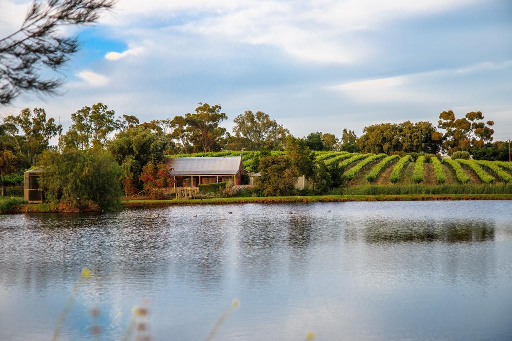 Stonewell Cottages And Vineyards Тананда Екстериор снимка